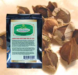 10 packs, Moringa 50 Seeds for wholesale